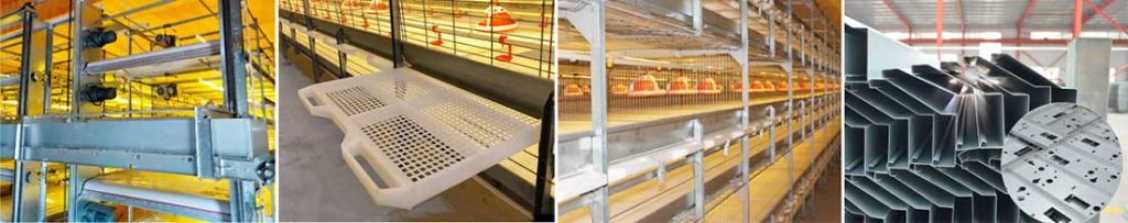 poultry cage details
